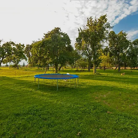 Spacious With Terrace And Garden View *