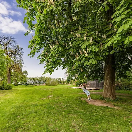 Spacious With Terrace And Garden View Semesterbostad *