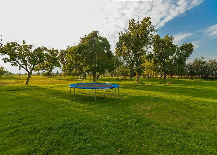 Spacious With Terrace And Garden View *